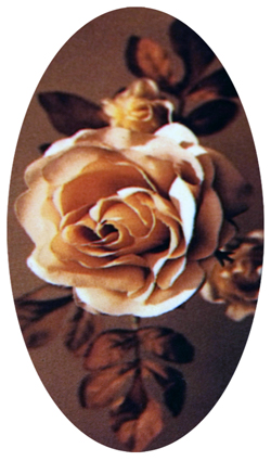 DNSBLUF 071 Imperial Rose Brown